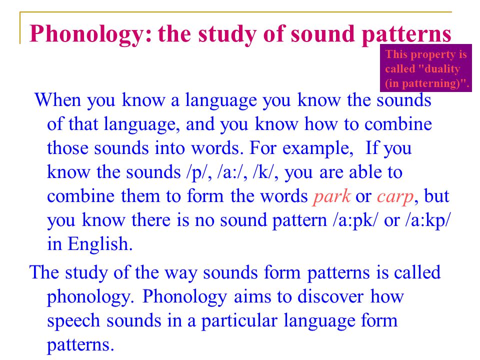 Phonology: the study of sound patterns