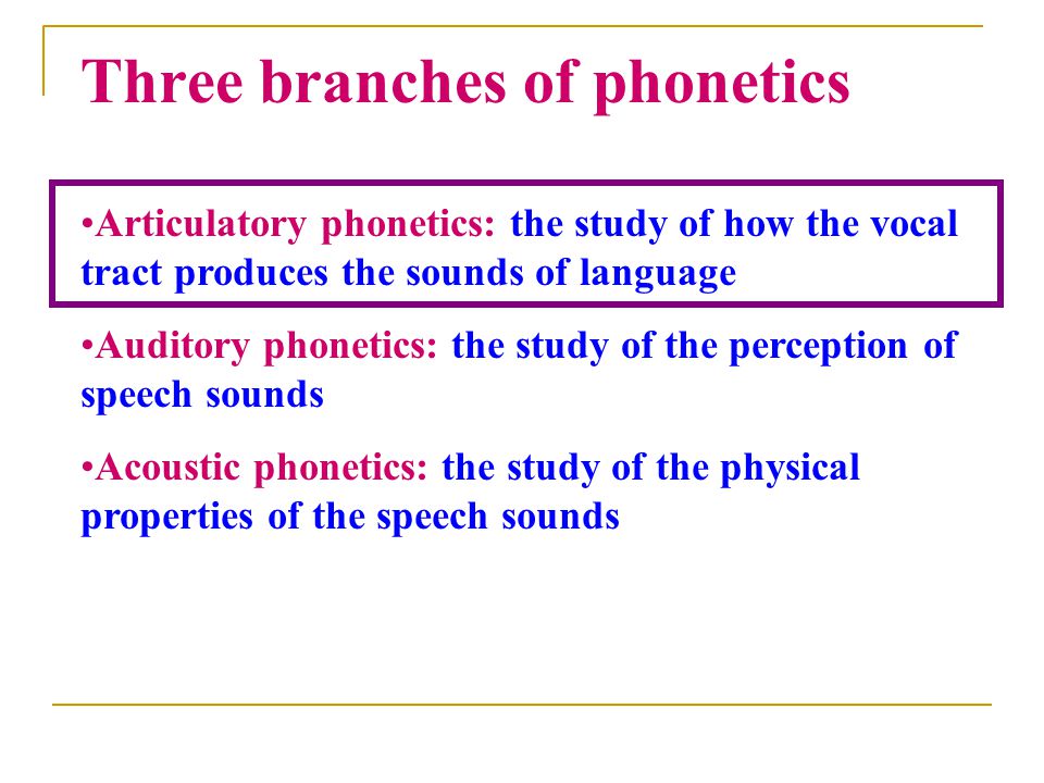 Three branches of phonetics