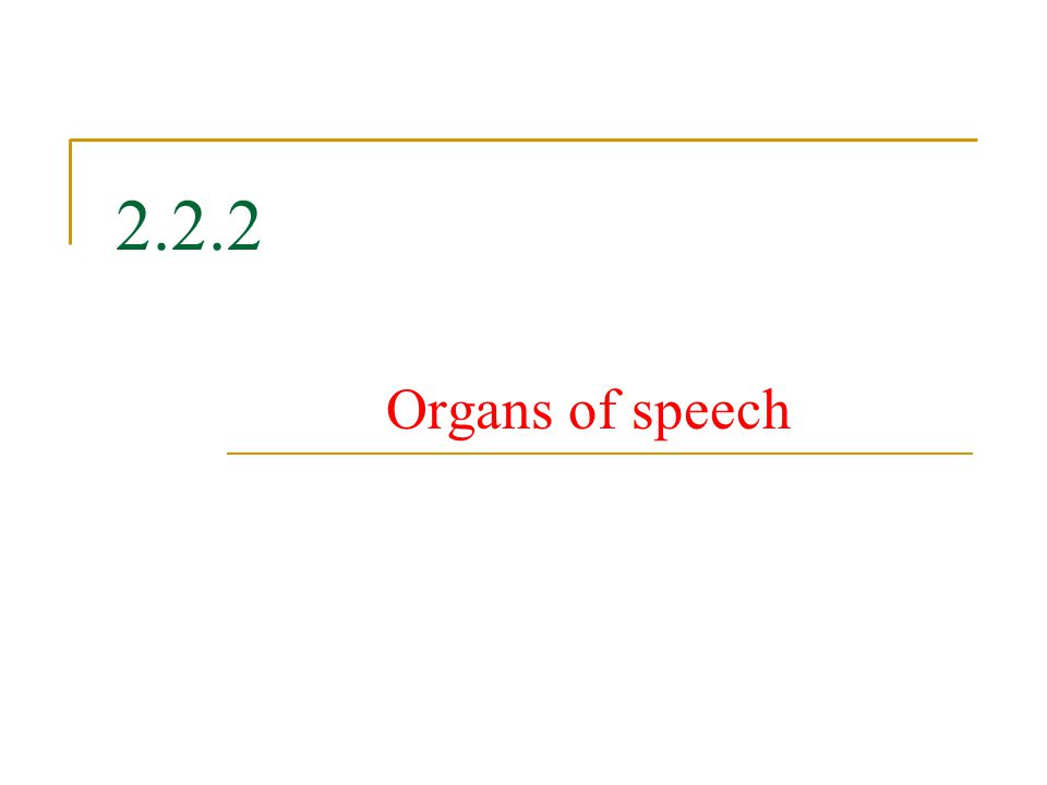 2.2.2 Organs of speech