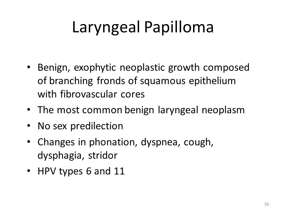 laryngeal papilloma slideshare viermii sunt cel mai bun leac