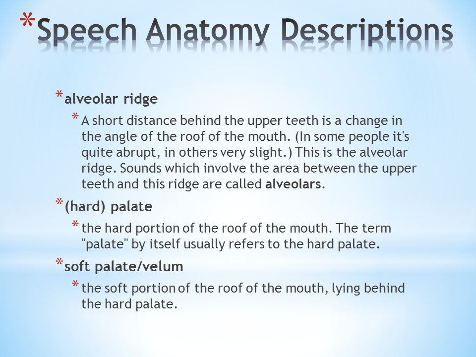 Speech Anatomy Descriptions