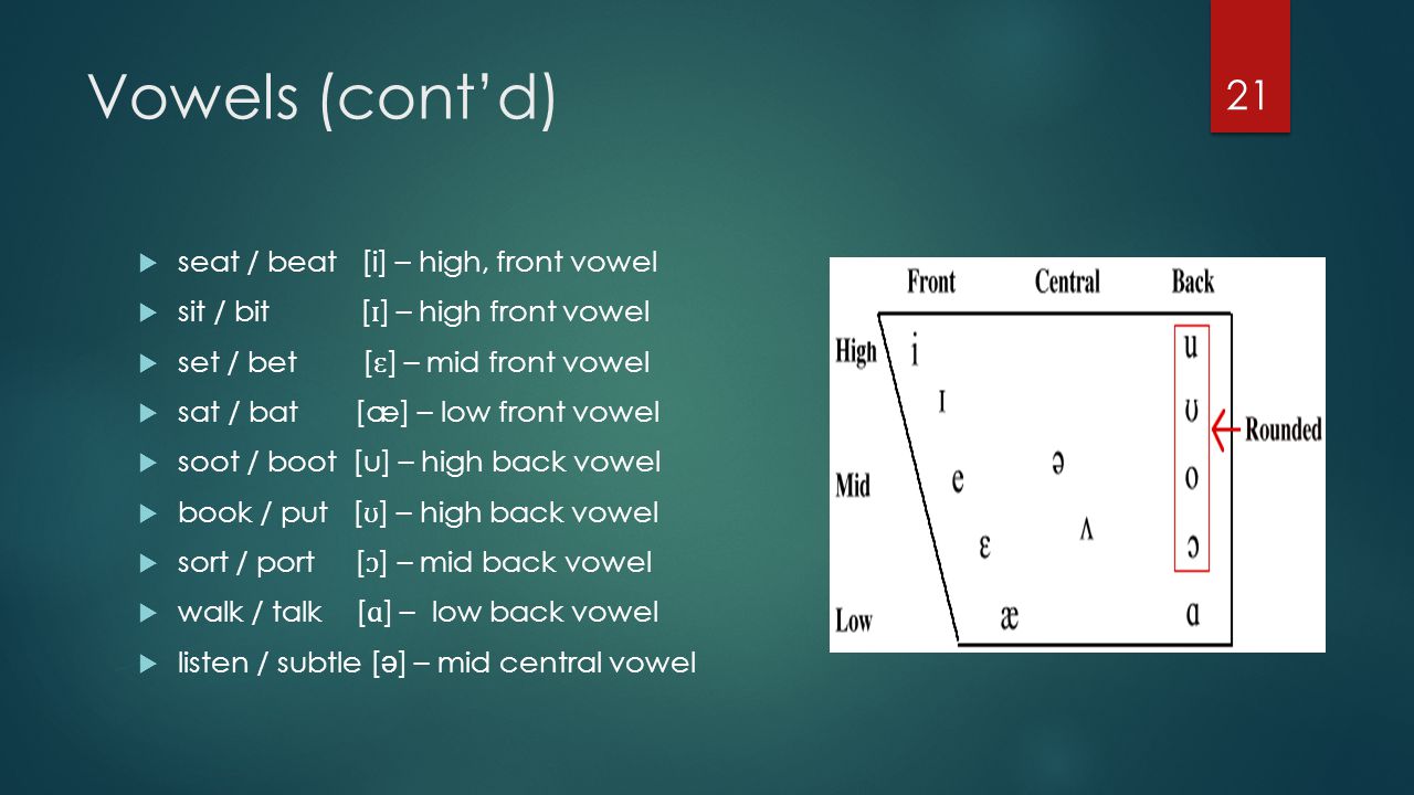 Vowels (cont’d) seat / beat [i] – high, front vowel