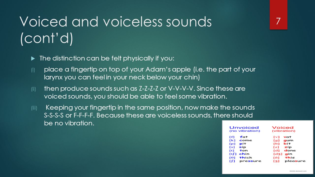 Voiced and voiceless sounds (cont’d)