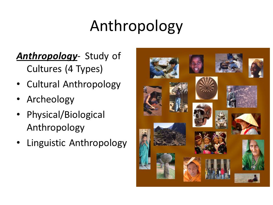 Anthropology Anthropology- Study of Cultures (4 Types)
