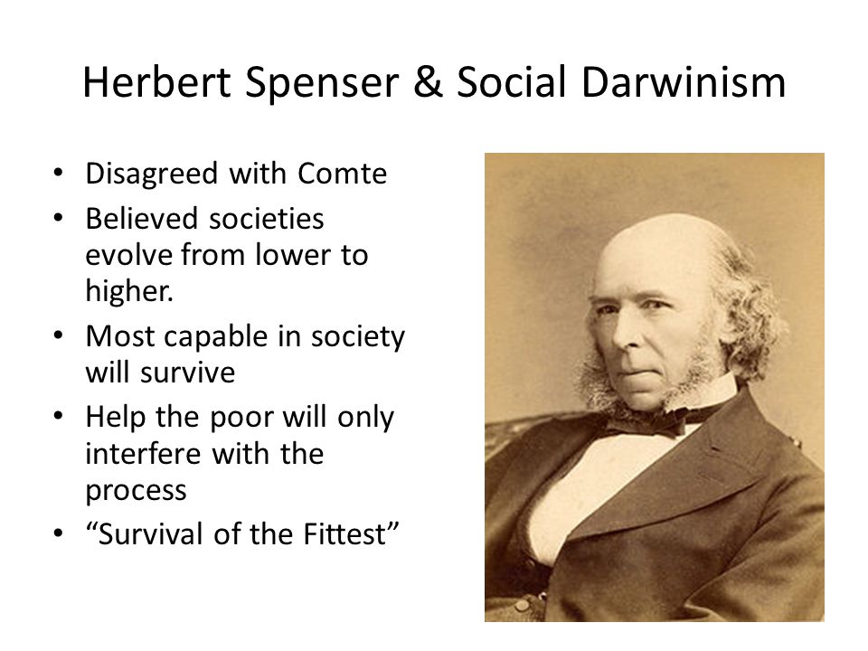 Herbert Spenser & Social Darwinism