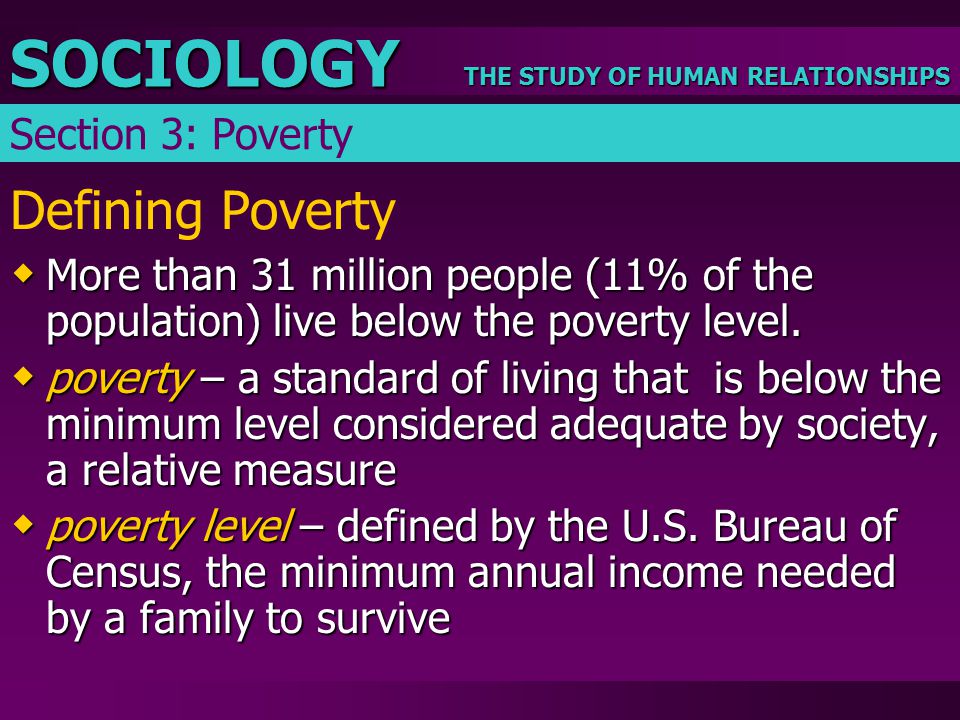 Defining Poverty Section 3: Poverty