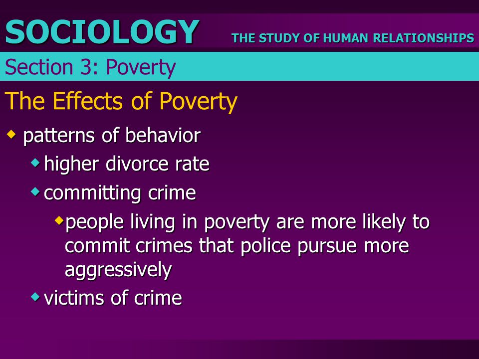 The Effects of Poverty Section 3: Poverty patterns of behavior