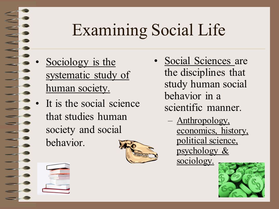 Examining Social Life Sociology is the systematic study of human society. It is the social science that studies human society and social behavior.