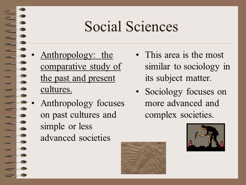 Social Sciences Anthropology: the comparative study of the past and present cultures.