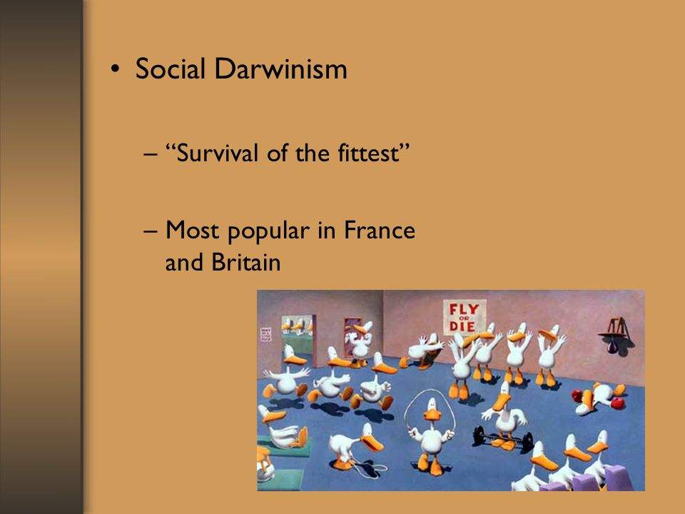 Social Darwinism Survival of the fittest
