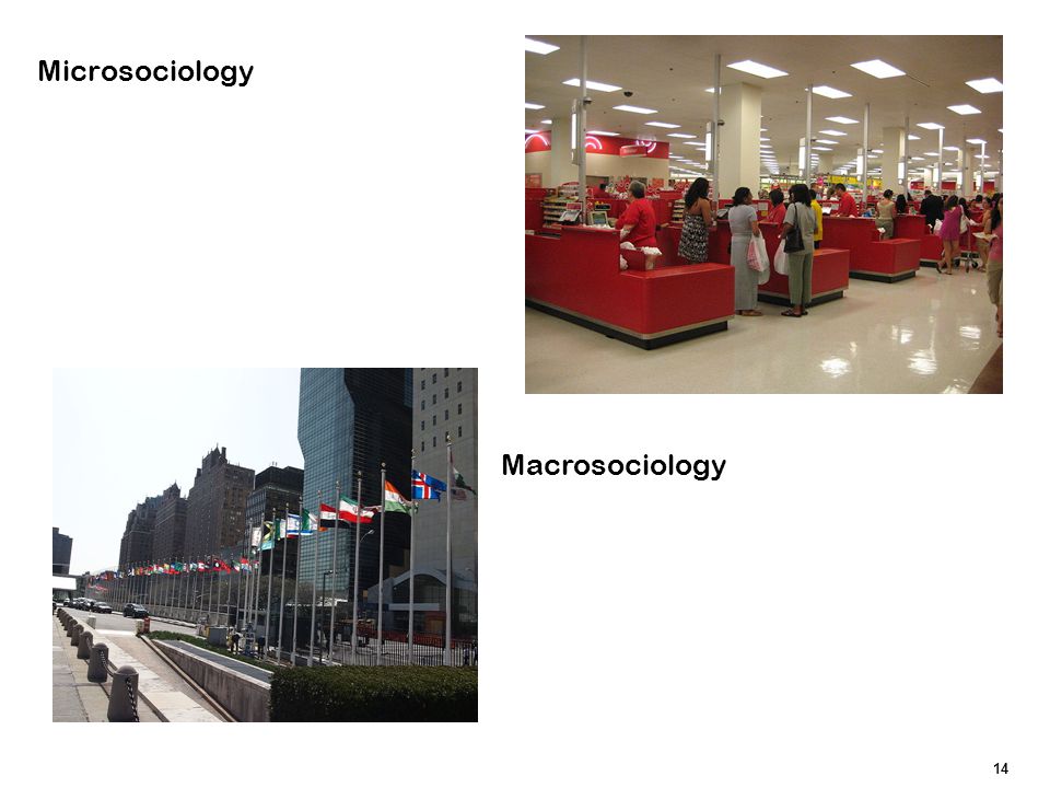 Microsociology Macrosociology