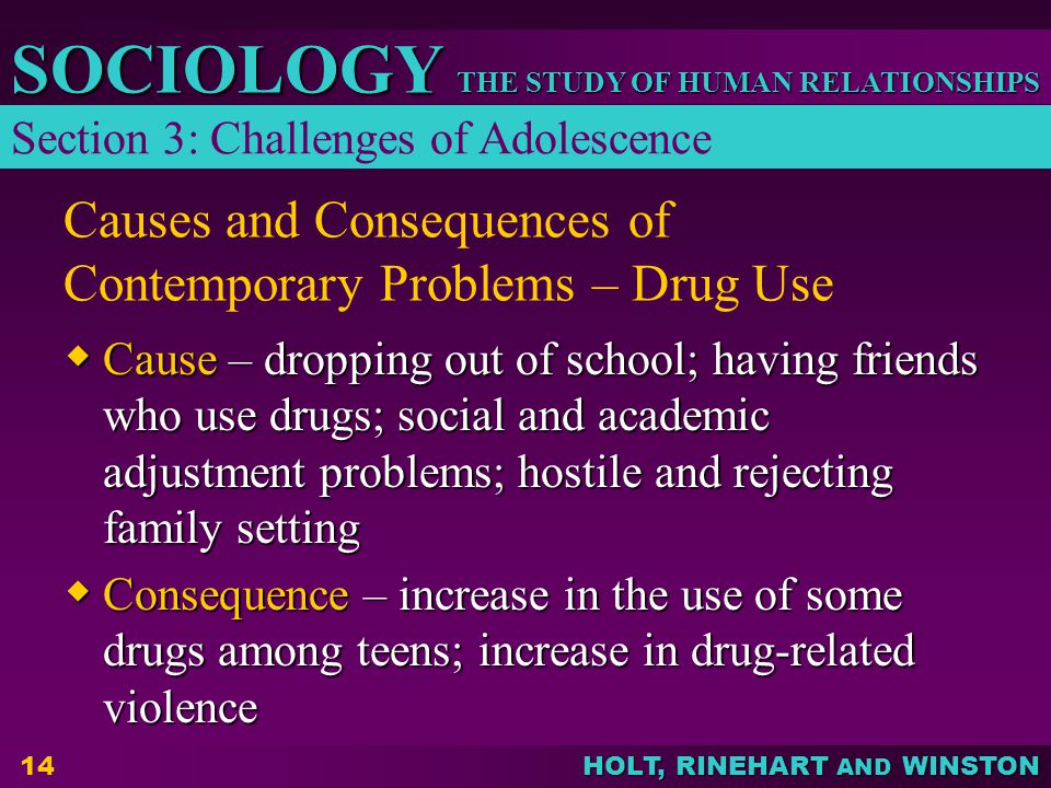 Causes and Consequences of Contemporary Problems – Drug Use