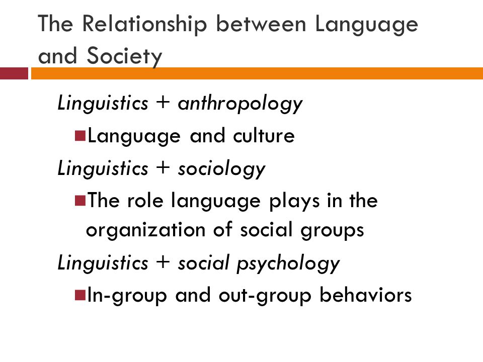 link between language and culture