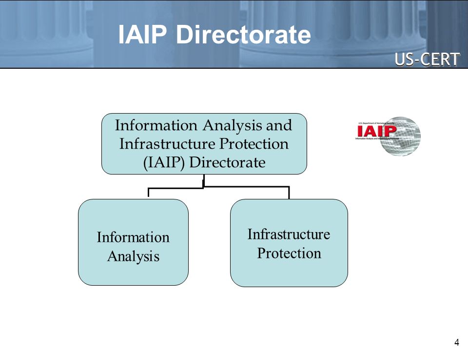 Information Analysis and Infrastructure Protection (IAIP) Directorate