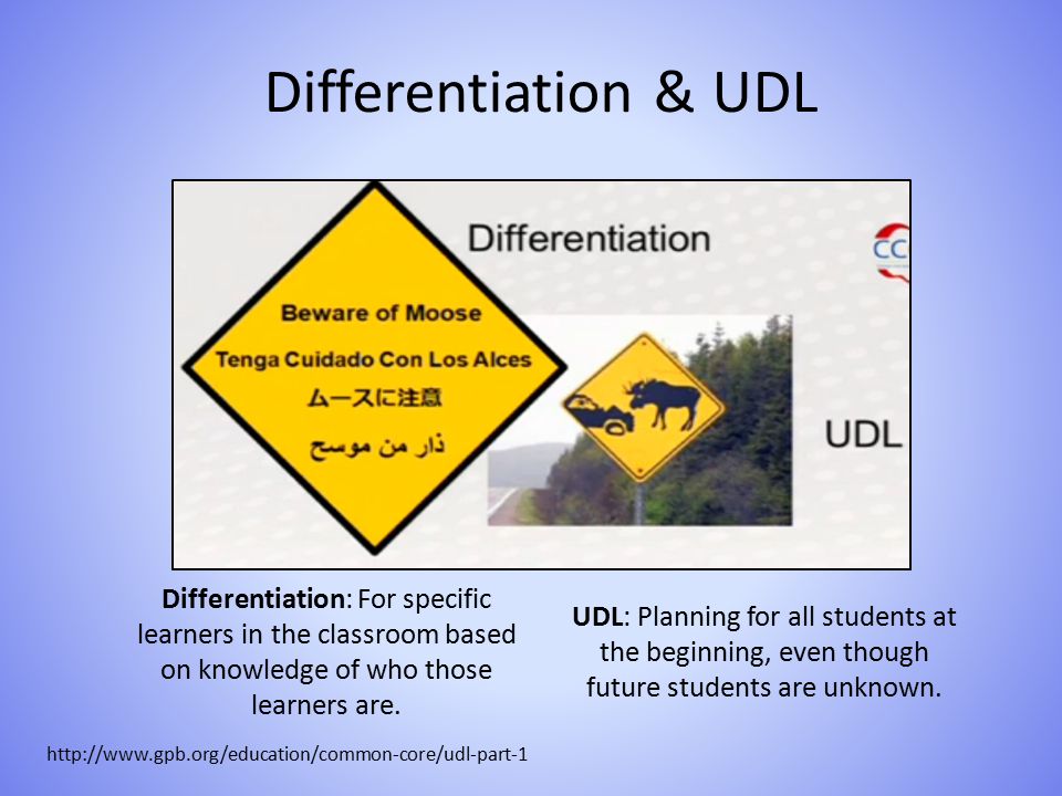 Special Education 101 Differentiation & UDL.