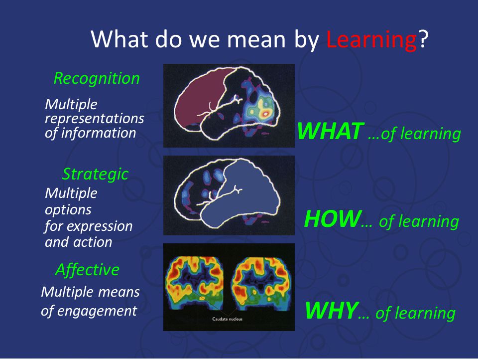 WHAT …of learning HOW… of learning WHY… of learning