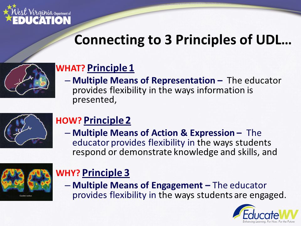 Connecting to 3 Principles of UDL…