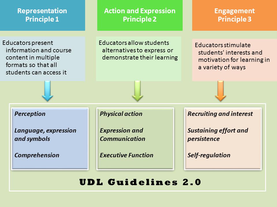 Representation Principle 1 Action and Expression Principle 2