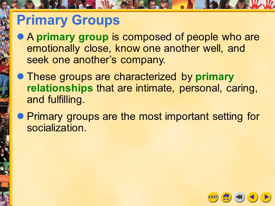 Primary Groups in Sociology (Definition & 10 Examples) (2023)