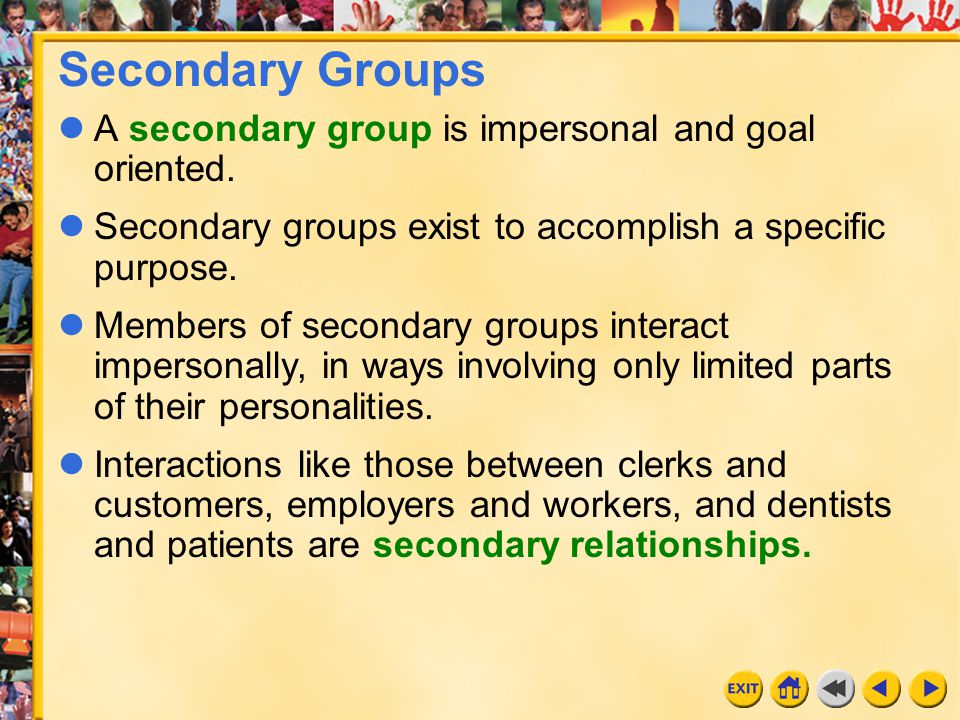 primary and secondary groups ppt video online download secondary group