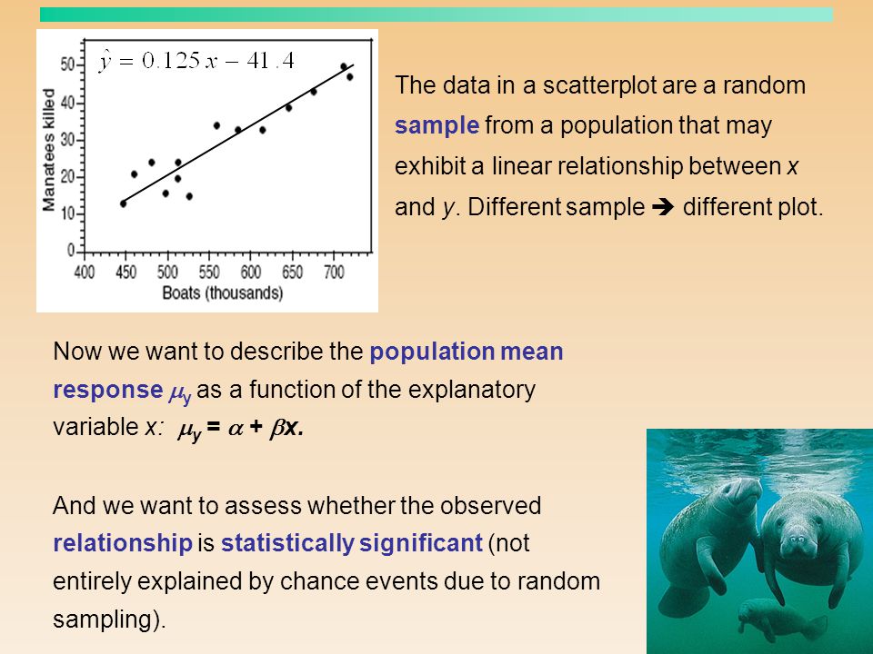 The data in a scatterplot are a random sample from a population that may exhibit a linear relationship between x and y. Different sample  different plot.