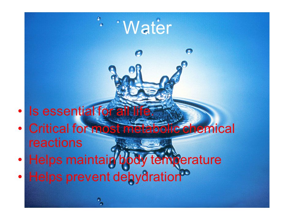 Water Is essential for all life.