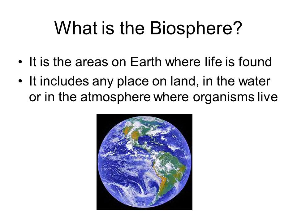 What is the Biosphere It is the areas on Earth where life is found