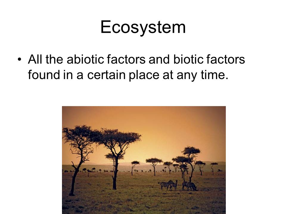 Ecosystem All the abiotic factors and biotic factors found in a certain place at any time.