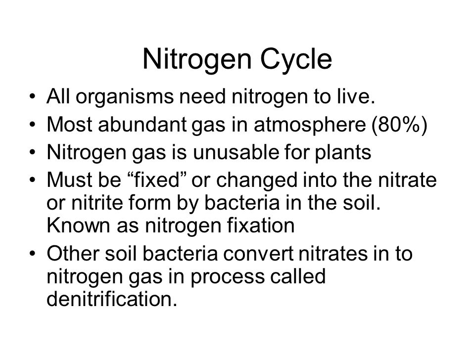 Nitrogen Cycle All organisms need nitrogen to live.