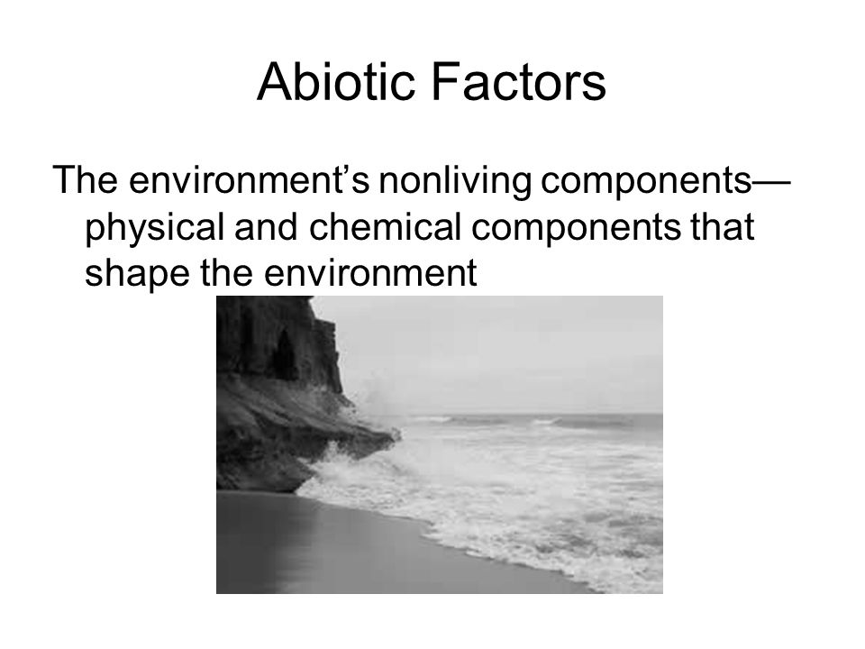 Abiotic Factors The environment’s nonliving components—physical and chemical components that shape the environment.