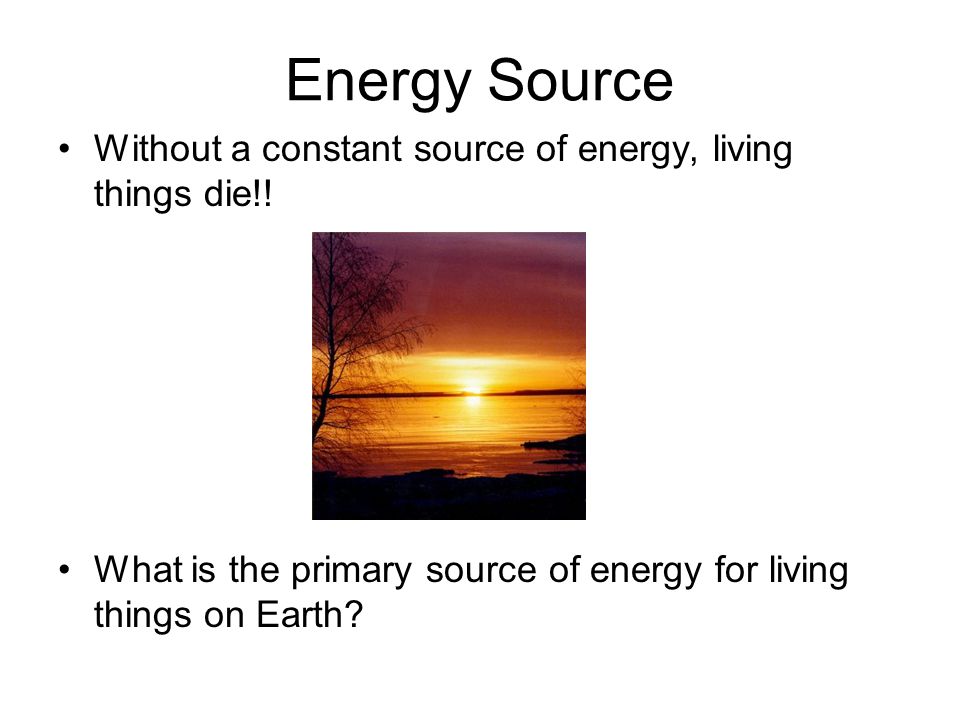Energy Source Without a constant source of energy, living things die!!