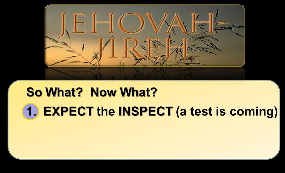 So What Now What 1. EXPECT the INSPECT (a test is coming)