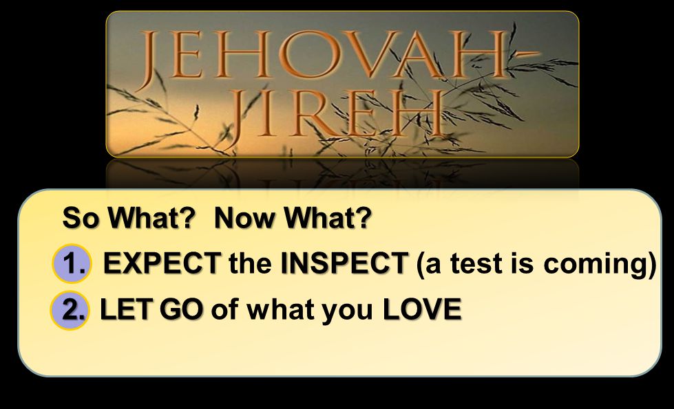 So What Now What 1. EXPECT the INSPECT (a test is coming) LET GO of what you LOVE