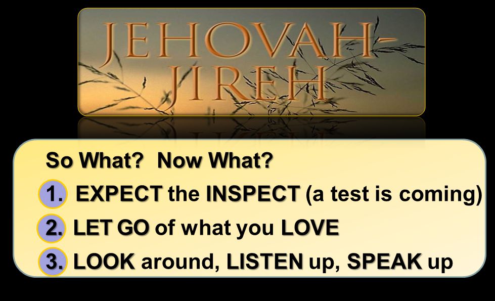 So What. Now What. 1. EXPECT the INSPECT (a test is coming) LET GO of what you LOVE.