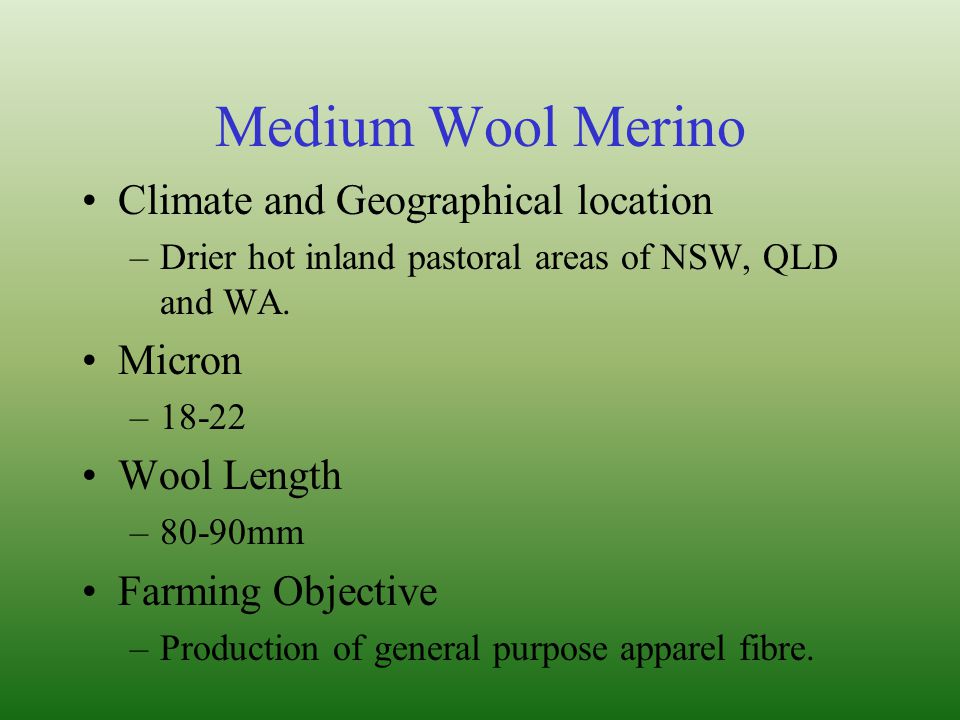 Medium Wool Merino Climate and Geographical location Micron