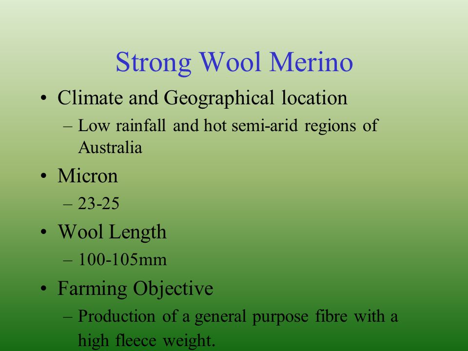 Strong Wool Merino Climate and Geographical location Micron