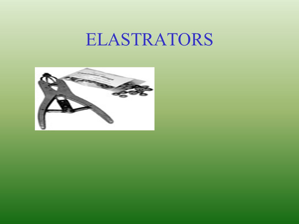 ELASTRATORS