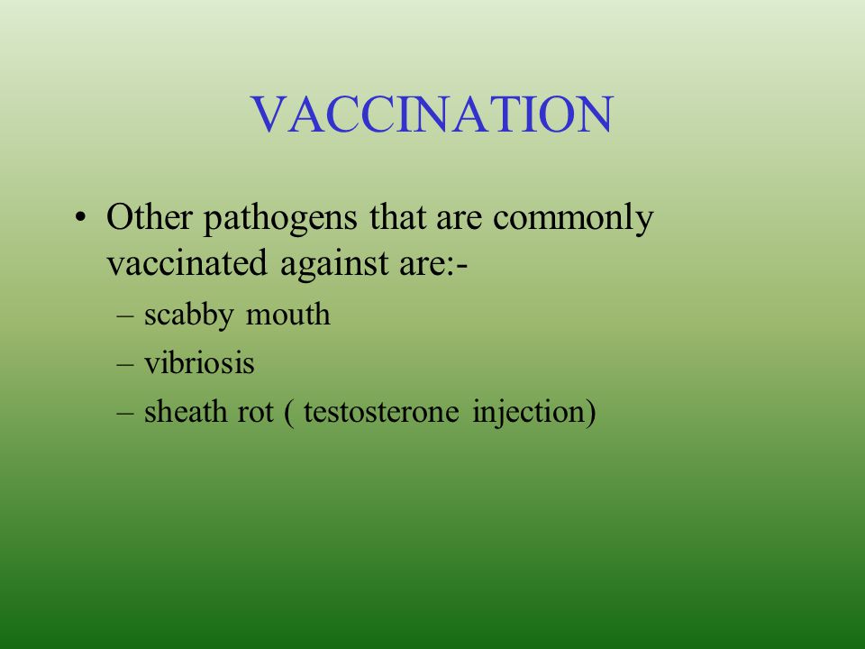 VACCINATION Other pathogens that are commonly vaccinated against are:-