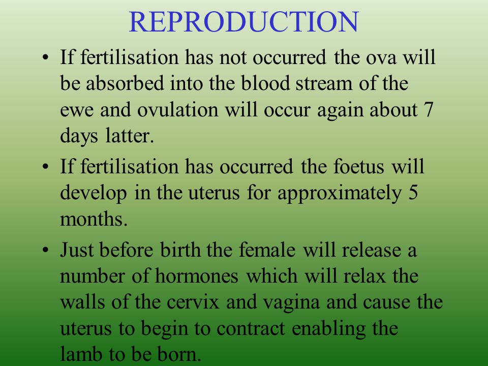 REPRODUCTION