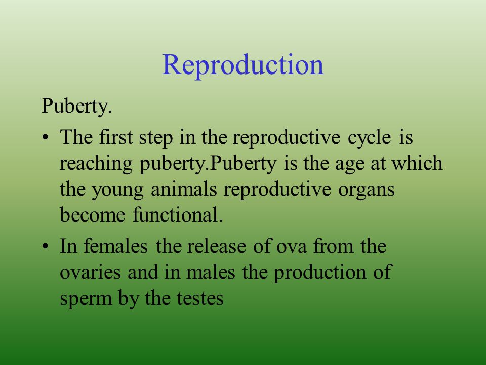Reproduction Puberty.