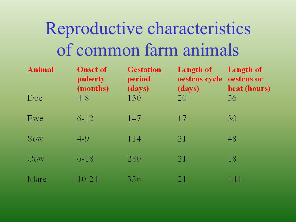 Reproductive characteristics of common farm animals