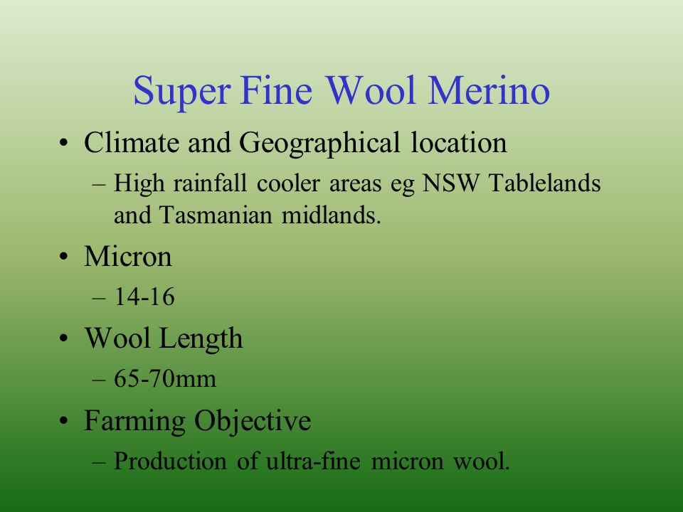 Super Fine Wool Merino Climate and Geographical location Micron