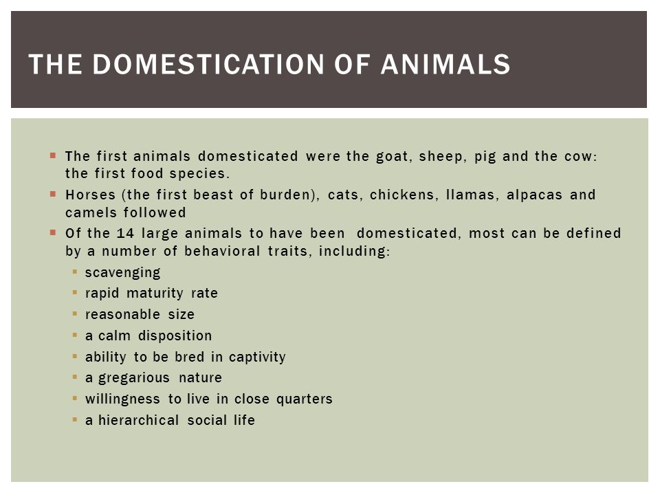 Animals and Society: An Introduction to Human-Animal Studies - ppt download