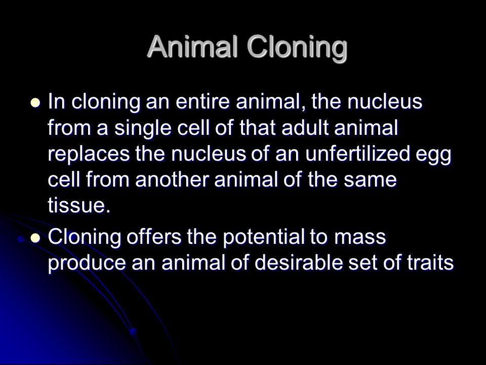 Animal Cloning