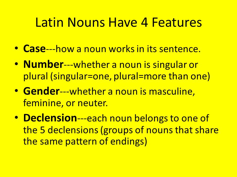 Latin Nouns Have 4 Features