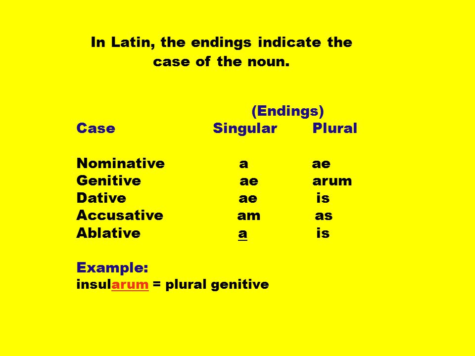 In Latin, the endings indicate the case of the noun.