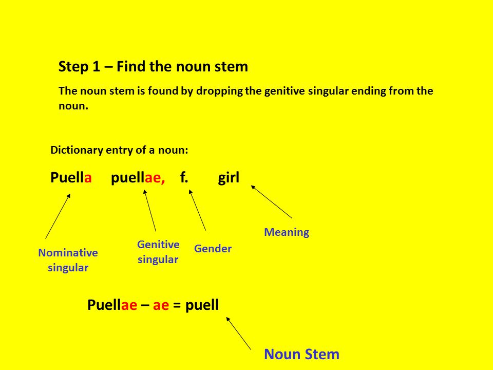 Step 1 – Find the noun stem