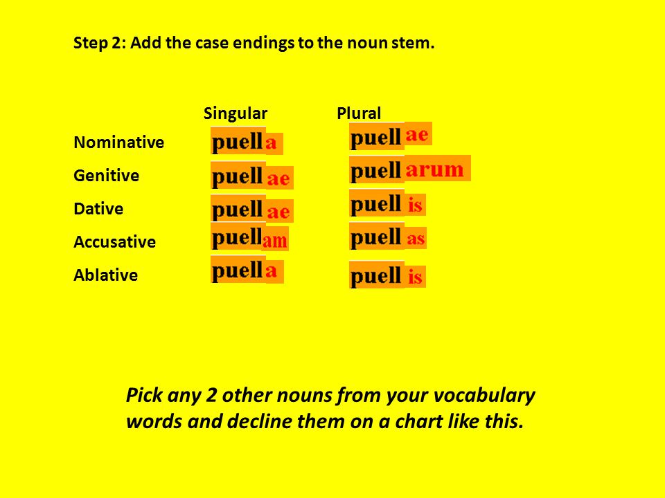Pick any 2 other nouns from your vocabulary
