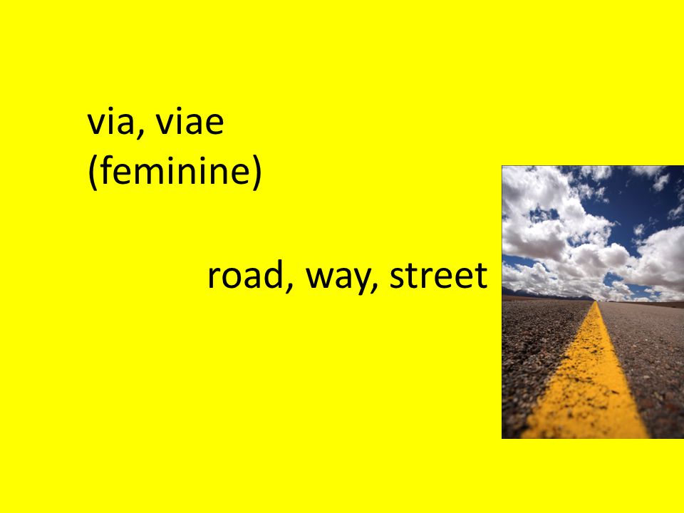 via, viae (feminine) road, way, street