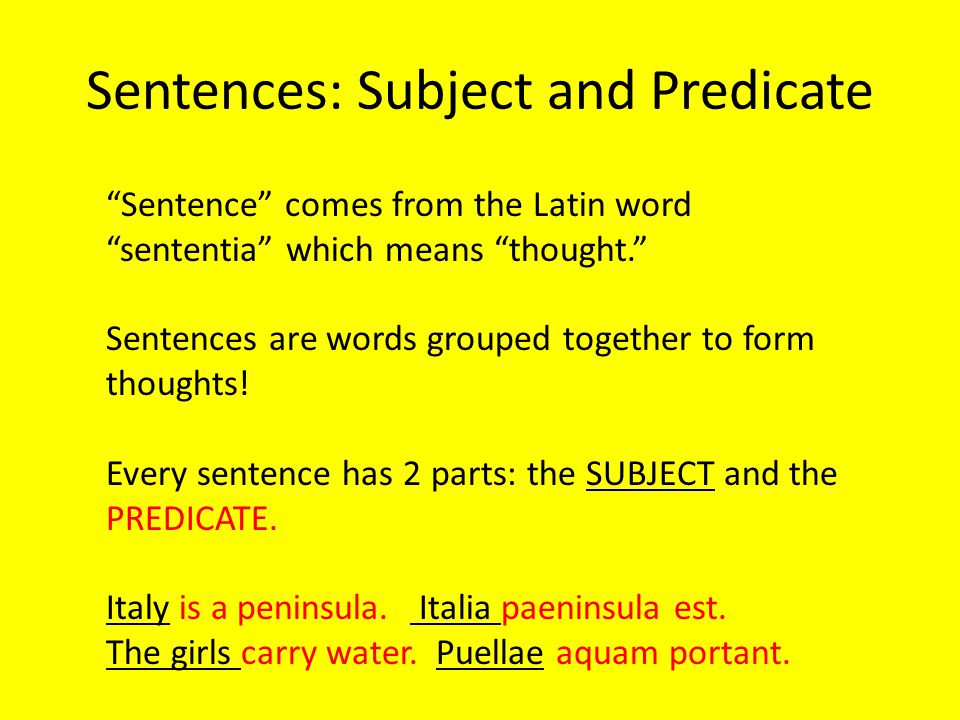 Sentences: Subject and Predicate